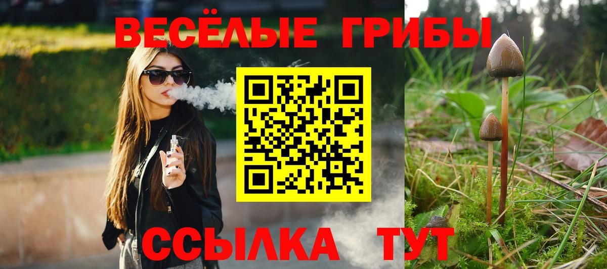 Псилоцибиновые грибы мицелий  где купить наркоту  Галлюциногенные грибы прущие грибы  Димитровград  Вход с VPN 